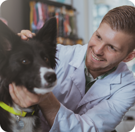 Ein Mann mit seinem Hund